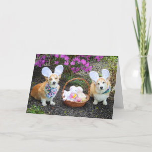 Easter Bunny Corgis greeting Card