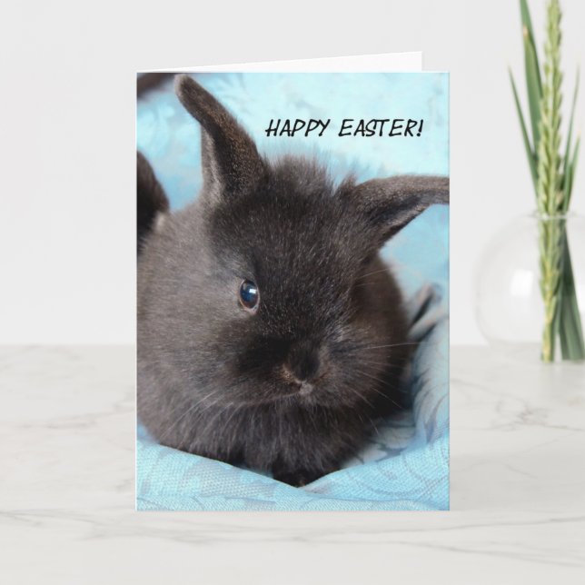 Easter Bunny Holiday Card (Front)