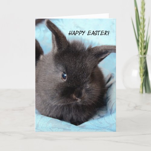 Easter Bunny Holiday Card