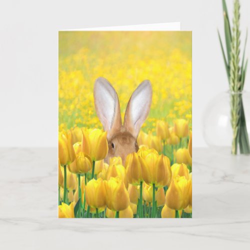 Easter Bunny Holiday Card
