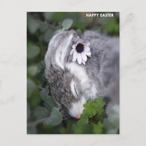 Easter Bunny Holiday Postcard