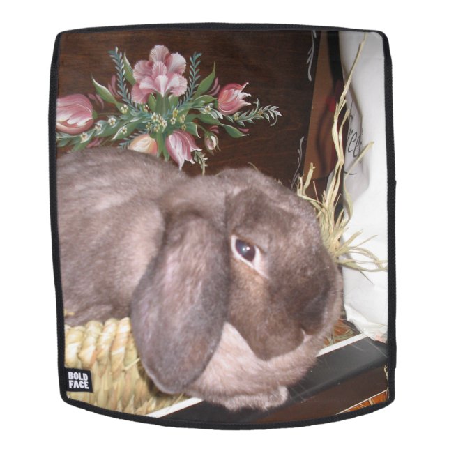 Easter bunny in a basket backpack (Removable Face)