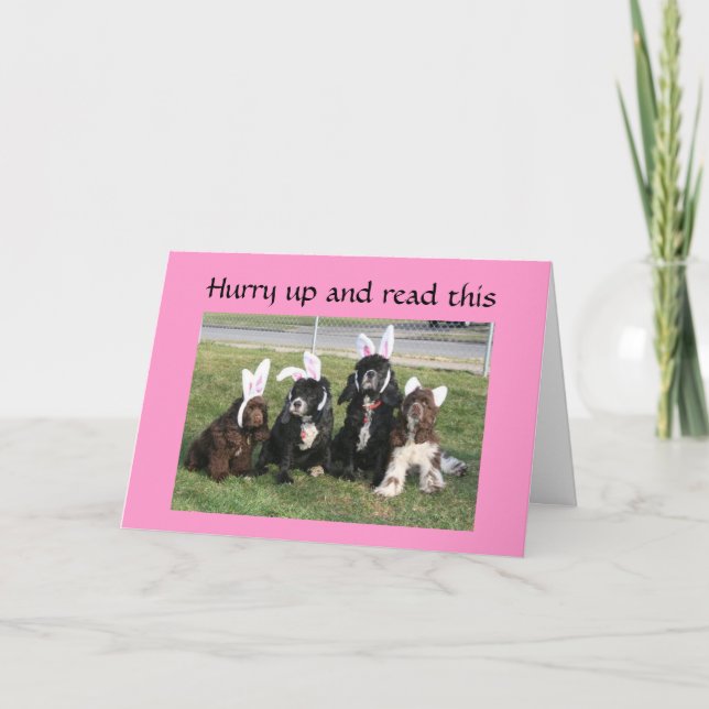 EASTER BUNNY IS ON A RAGE ABOUT EARS!!! HOLIDAY CARD (Front)