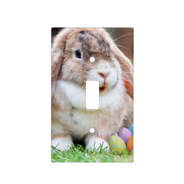 Easter Bunny Light Switch Cover (Front)