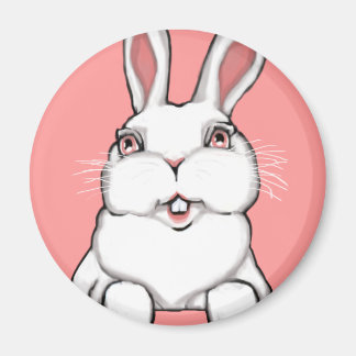 Easter Bunny Magnet Festive Easter Decorations
