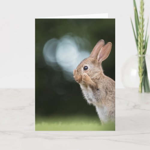 Easter Bunny Nature Photo Card