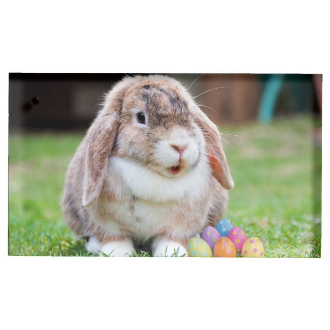 Easter Bunny Place Card Holder (Front)