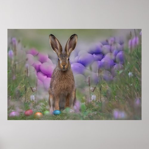 Easter Bunny Poster