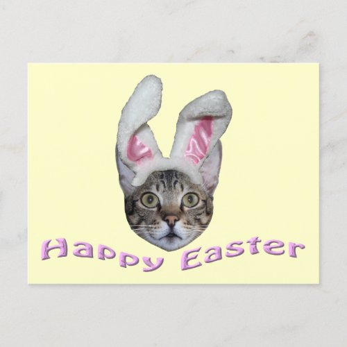 Easter Bunny Savannah Cat Postcard