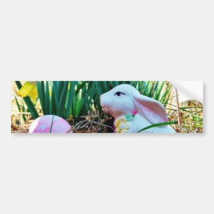 Easter Bunny with a pink egg Bumper Sticker