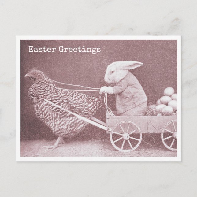 Easter Bunny with Chicken and Eggs Postcard (Front)