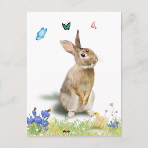 Easter Bunny Yellow Chick Butterflies Lady Bugs Postcard