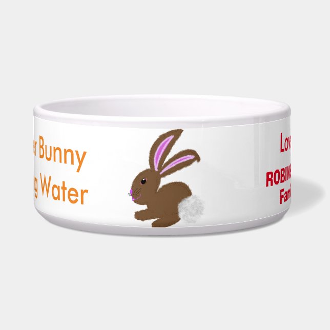 Easter Bunny Yellow Chick Eggs Water NAME Bowl (Front)