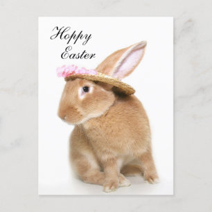 Easter Bunny's bonnet Holiday Postcard