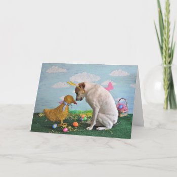 Easter Card by PlaxtonDesigns at Zazzle