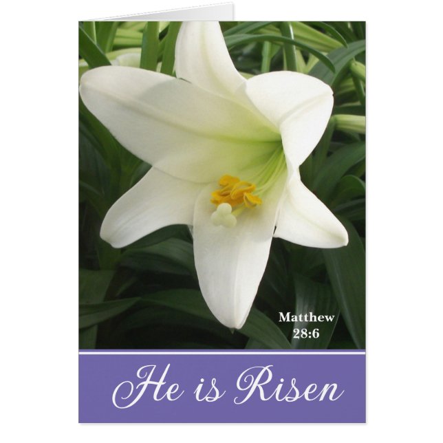 Easter Card Easter Lily (Front)