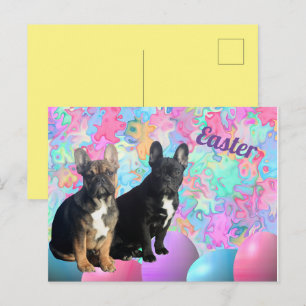 Easter card French Bulldog postcard