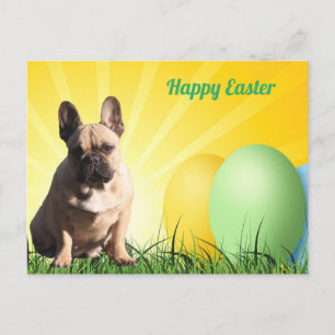 Easter card French Bulldog postcard