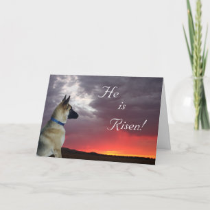 Easter Card German Shepherd Matthew 28:6