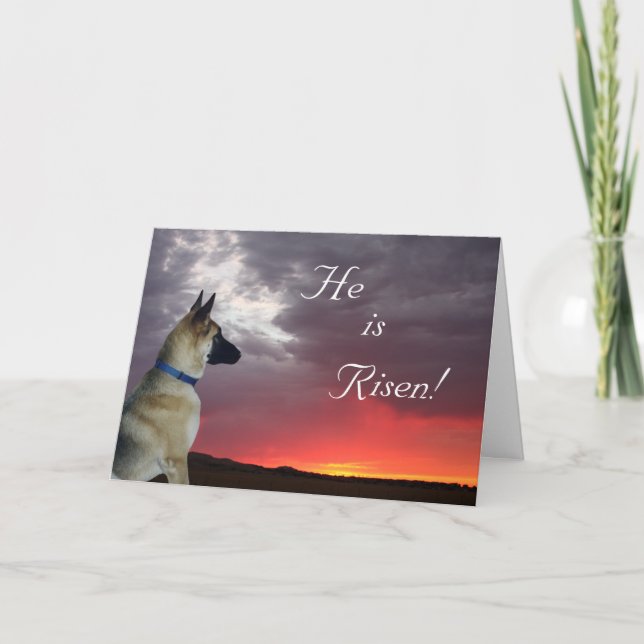 Easter Card German Shepherd Matthew 28:6 (Front)