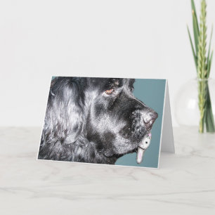 Easter Card,Newfoundland Dog Holiday Card