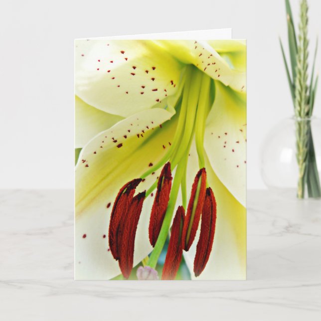 Easter card with lily (Front)