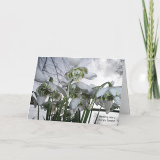 Easter Card with Snowdrops