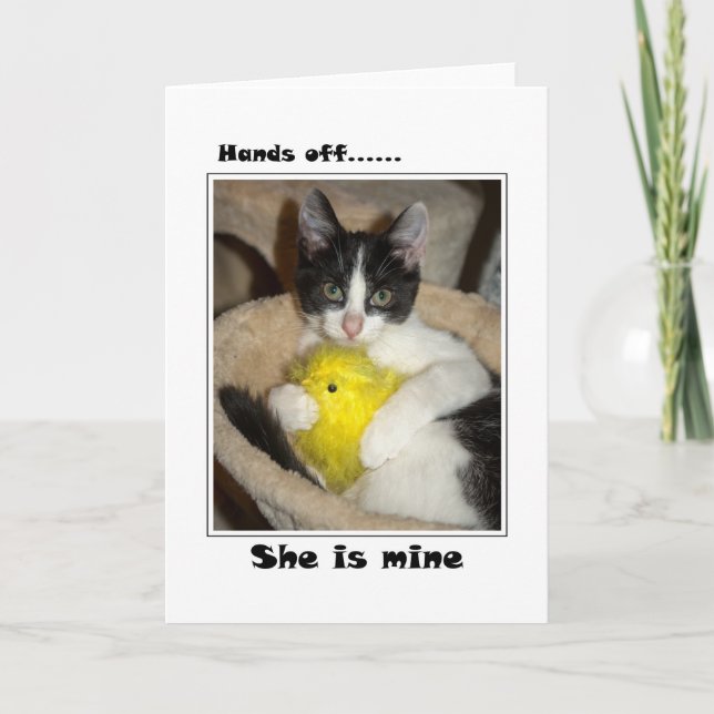 Easter Cat and chick Holiday Card (Front)