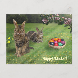 Easter Cat-Bunnies ;-) 😽🐰 Holiday Postcard