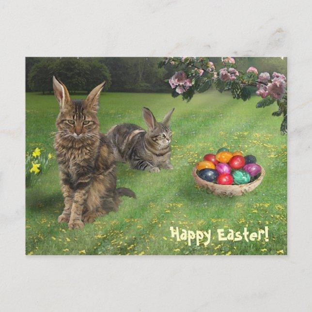 Easter Cat-Bunnies ;-) 😽🐰 Holiday Postcard (Front)