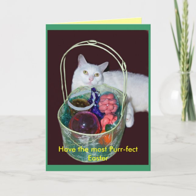 Easter Cat Card (Front)