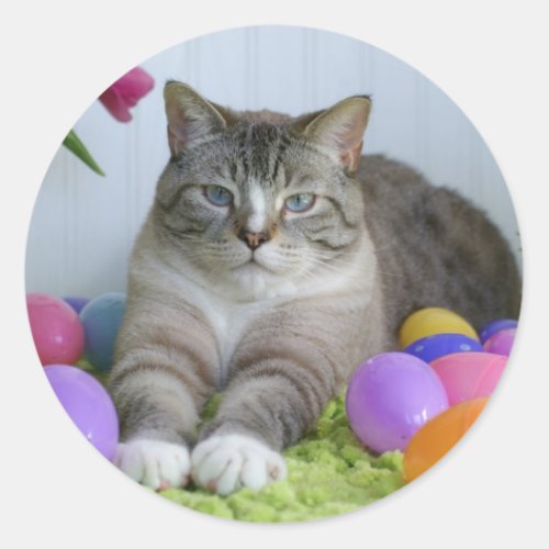 Easter Cat Classic Round Sticker