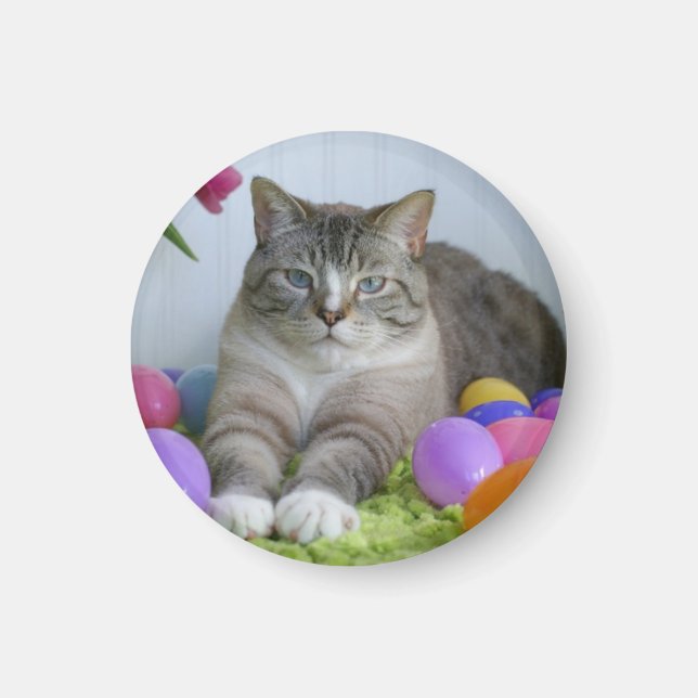 Easter Cat Classic Round Sticker Mason Jar Stone C Magnet (Front)
