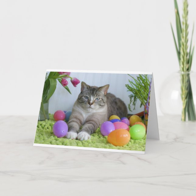 Easter Cat Holiday Card (Front)
