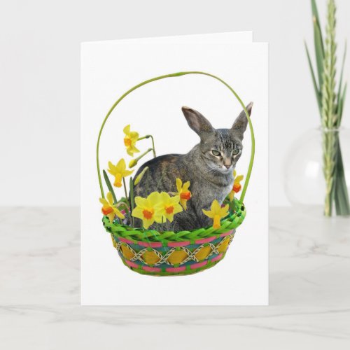 Easter Cat in Daffodils Card