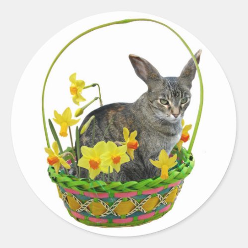 Easter Cat in Daffodils Sticker