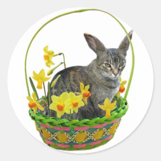 Easter Cat in Daffodils Sticker