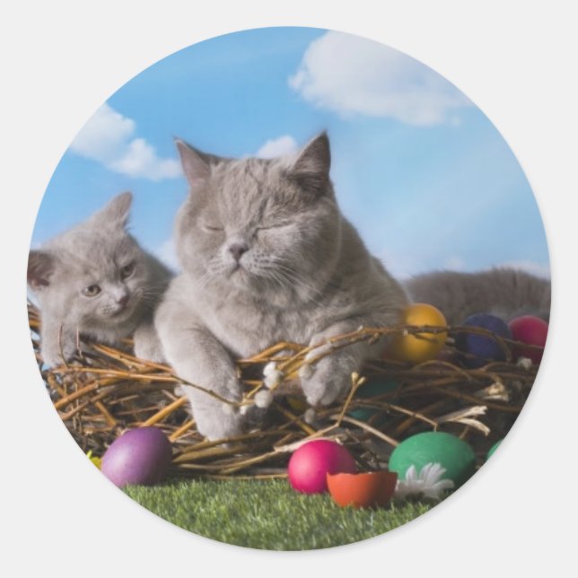 Easter Cats Classic Round Sticker (Front)