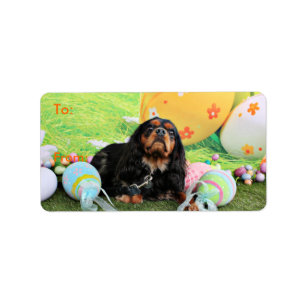 Easter - Cavalier King Charles Spaniel - Charlie Label