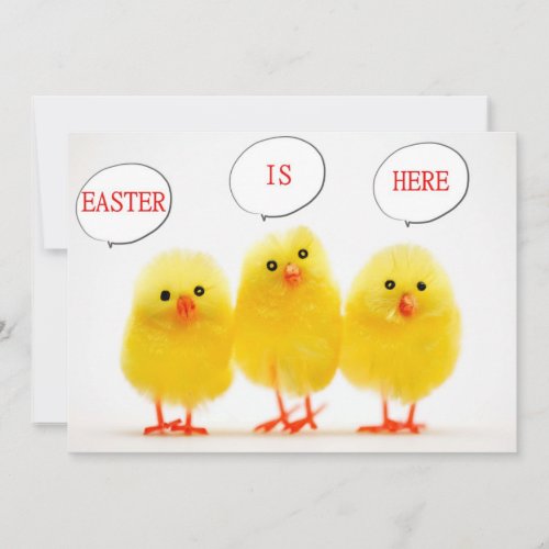 EASTER CELEBRATION WITH TALKING CHICKS INVITE