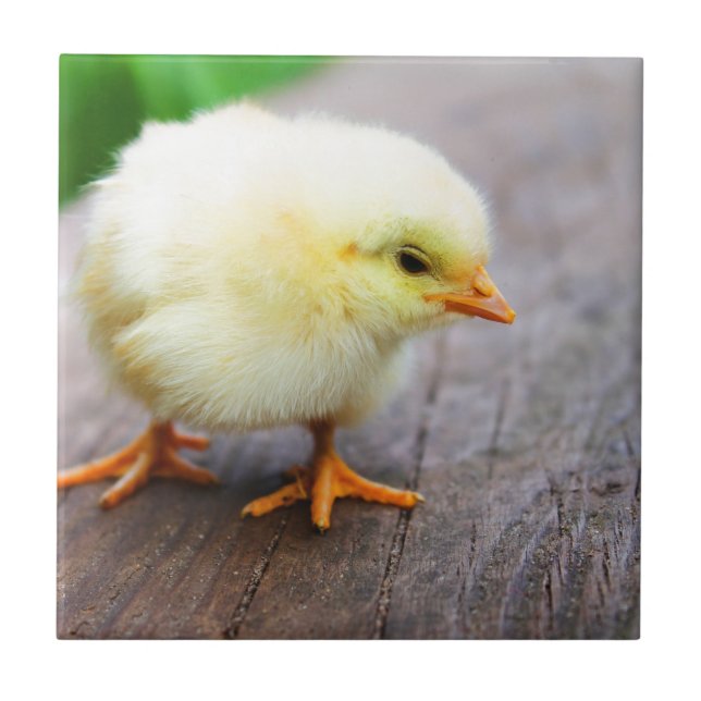 easter ceramic tile (Front)