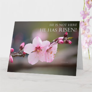 Easter Cherry Blossom He Has Risen Matthew 28:6 Card