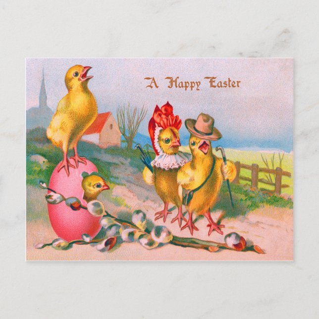 Easter Chick Colored Egg Cotton Holiday Postcard (Front)