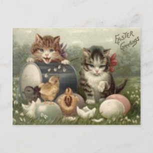 Easter Chick Colored Egg Kitten Cat Holiday Postcard