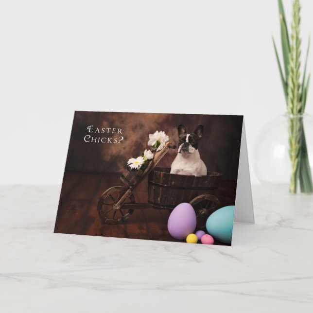 Easter Chick & French Bulldog Easter Card (Front)