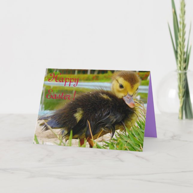 Easter Chick III Holiday Card (Front)