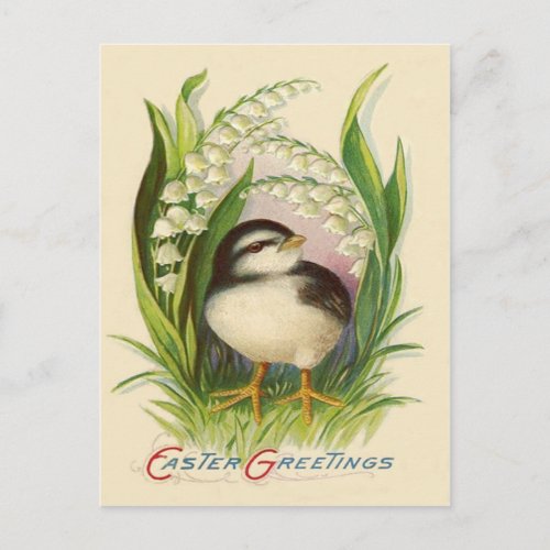 Easter Chick Lily Of The Valley Holiday Postcard