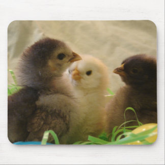 Easter Chickens Mouse Pad