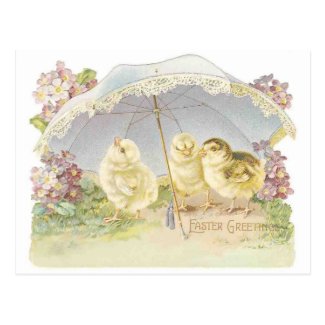 easter chicks bright postcard