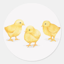 EASTER CHICKS ROUND CLASSIC STICKERS